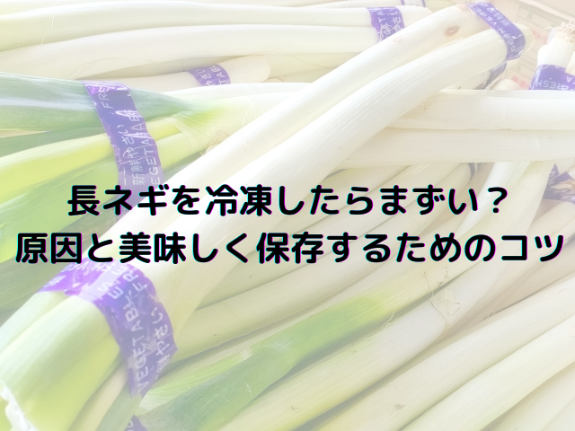 長ネギ