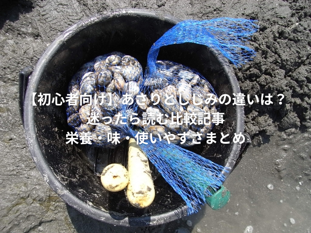 あさりとしじみの違い