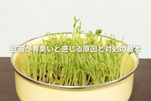 豆苗が青臭