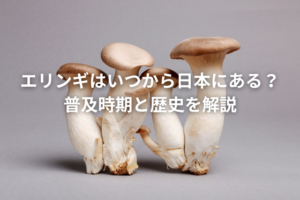 エリンギ